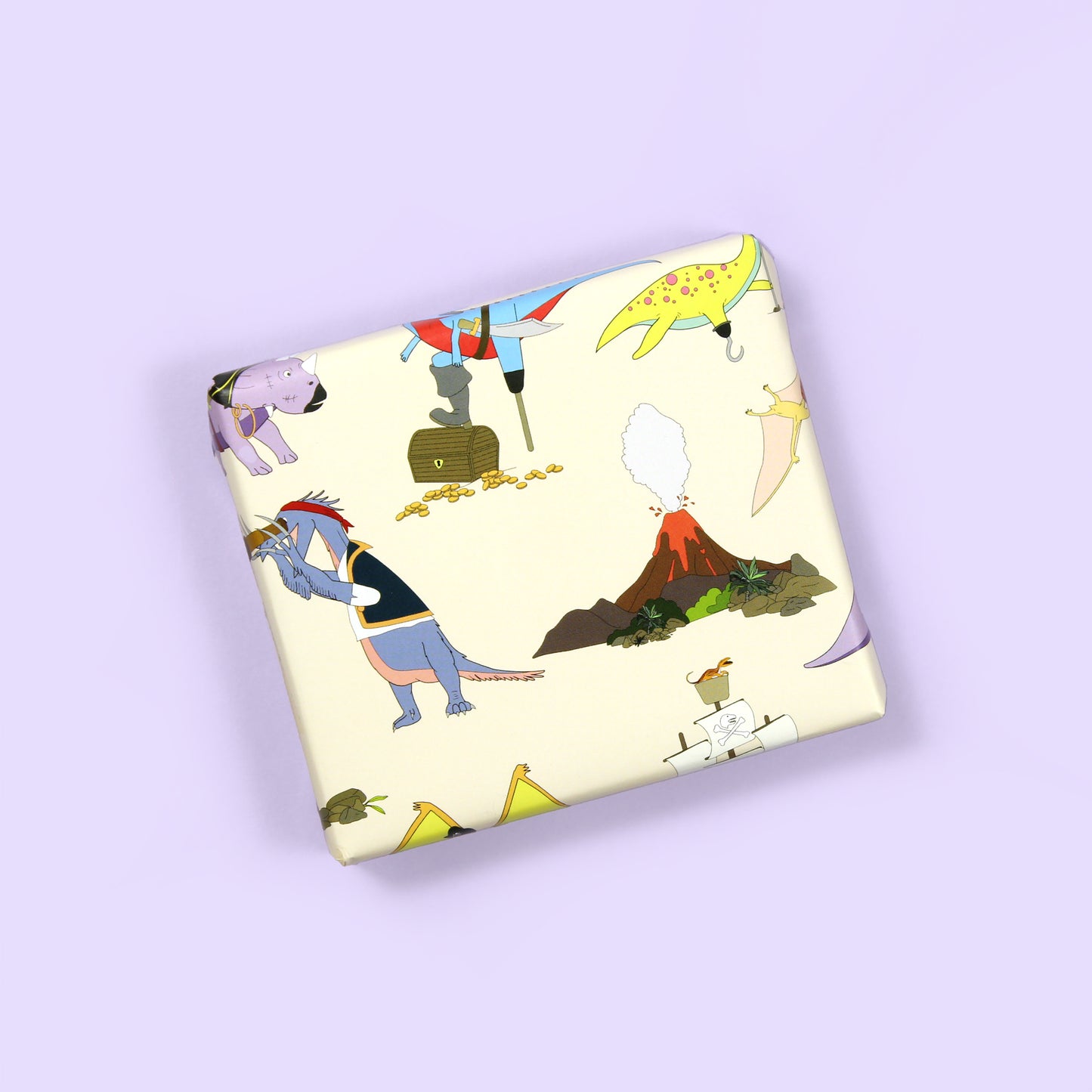 a small box wrapped in pirate Dinosaur Wrapping Paper
