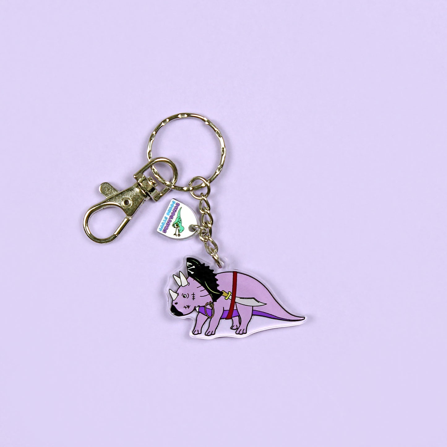 Pirate Dinosaur Keyring