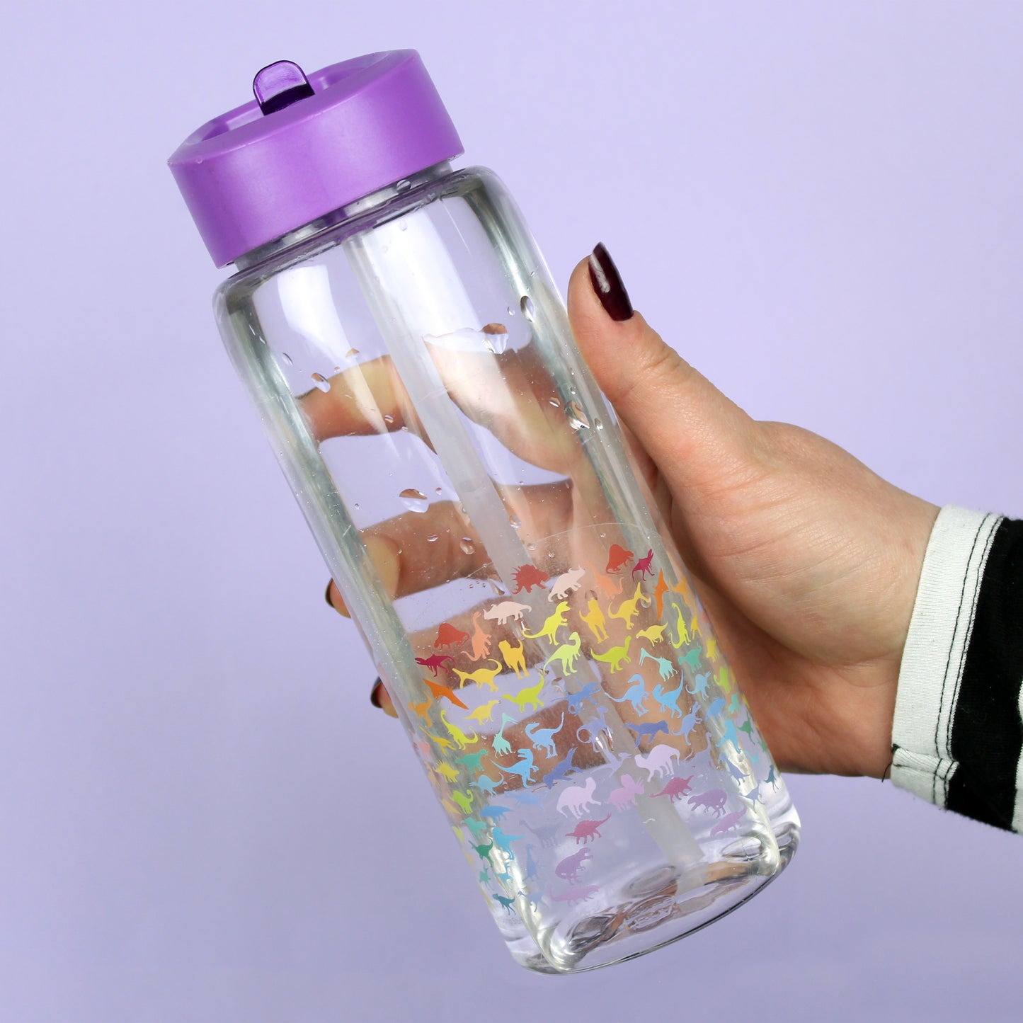 Dinosaur Clear Vinyl Sticker - Rainbow