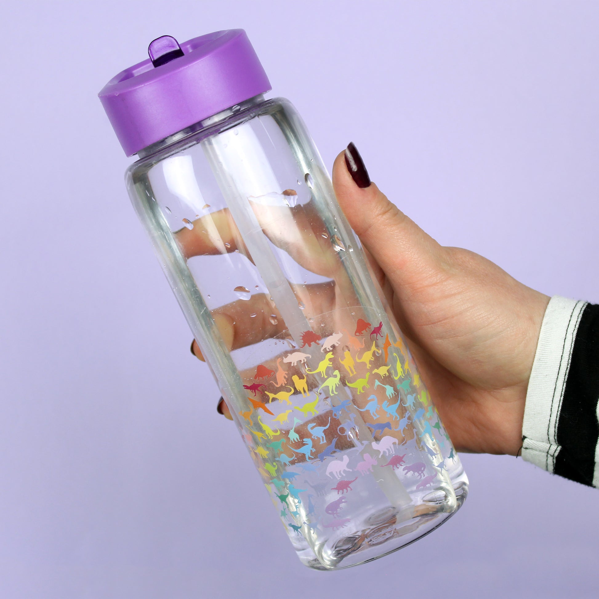 Dinosaur Clear Vinyl Sticker - Rainbow