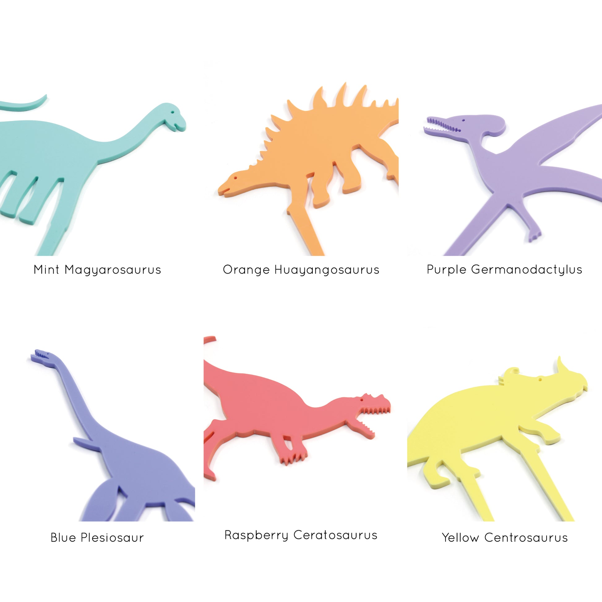 dinosaur plant decoration options