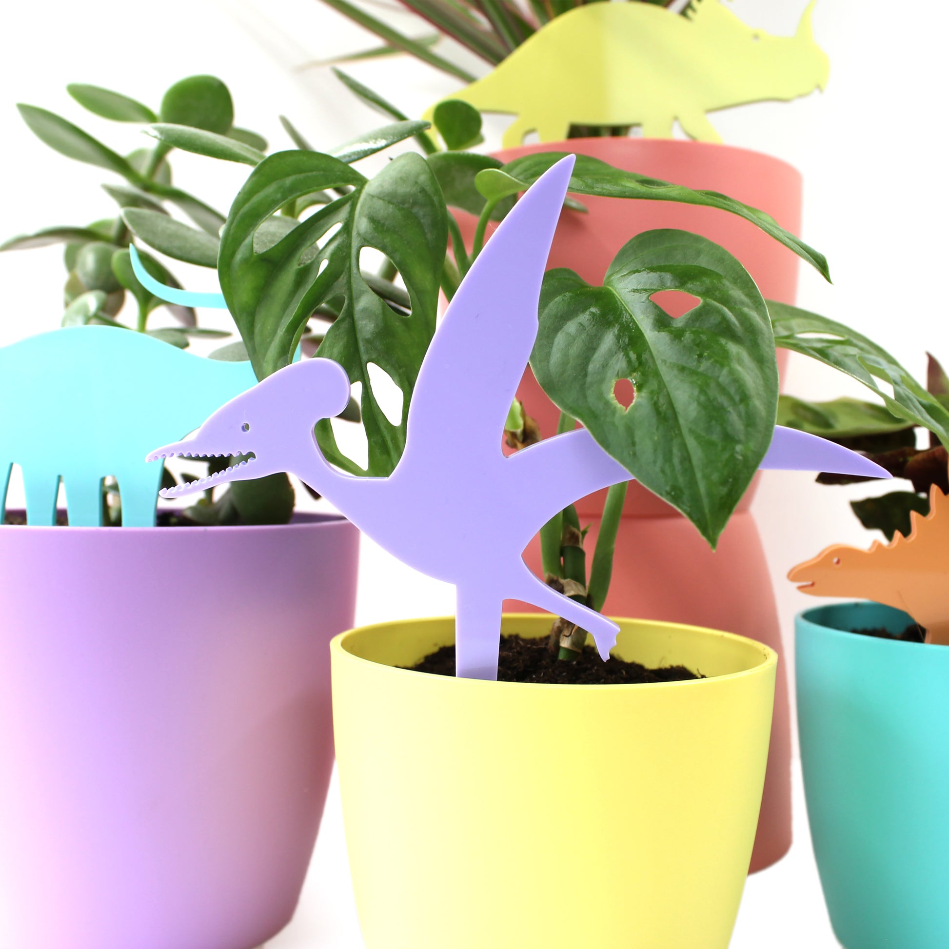pastel purple Germanodactylus dinosaur plant decoration