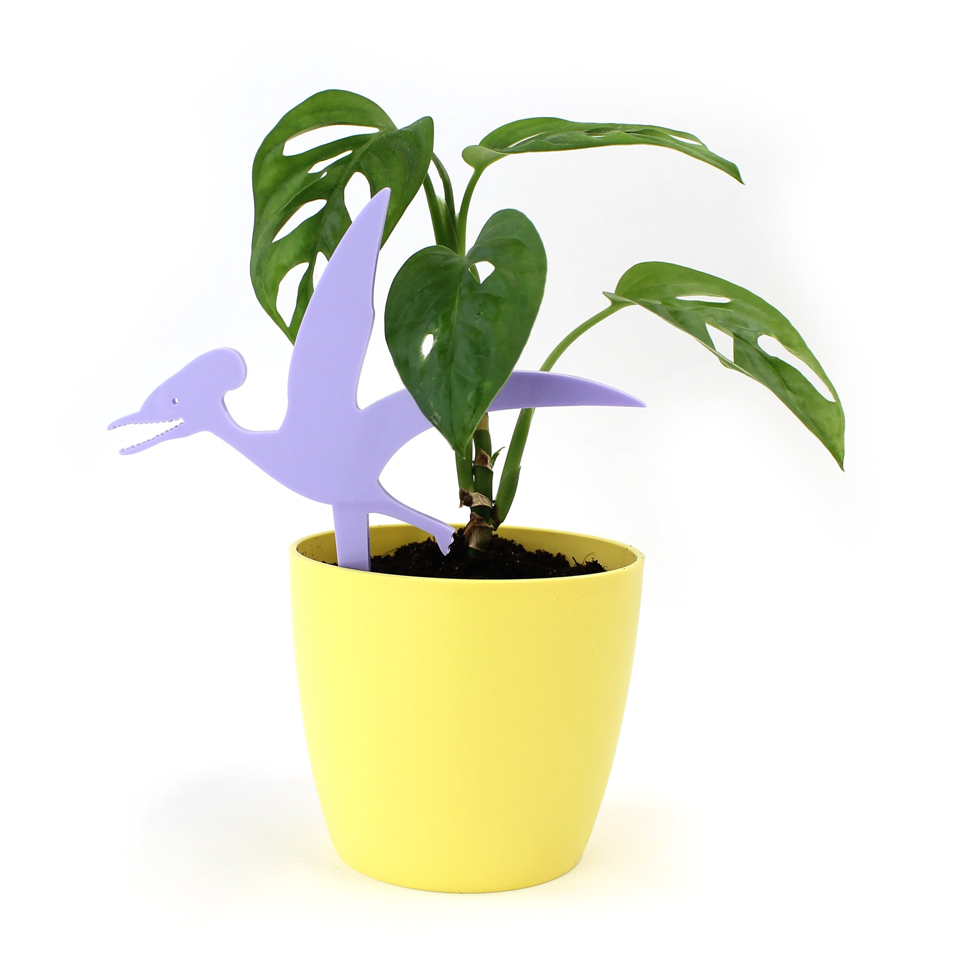 pastel purple Germanodactylus dinosaur plant decoration