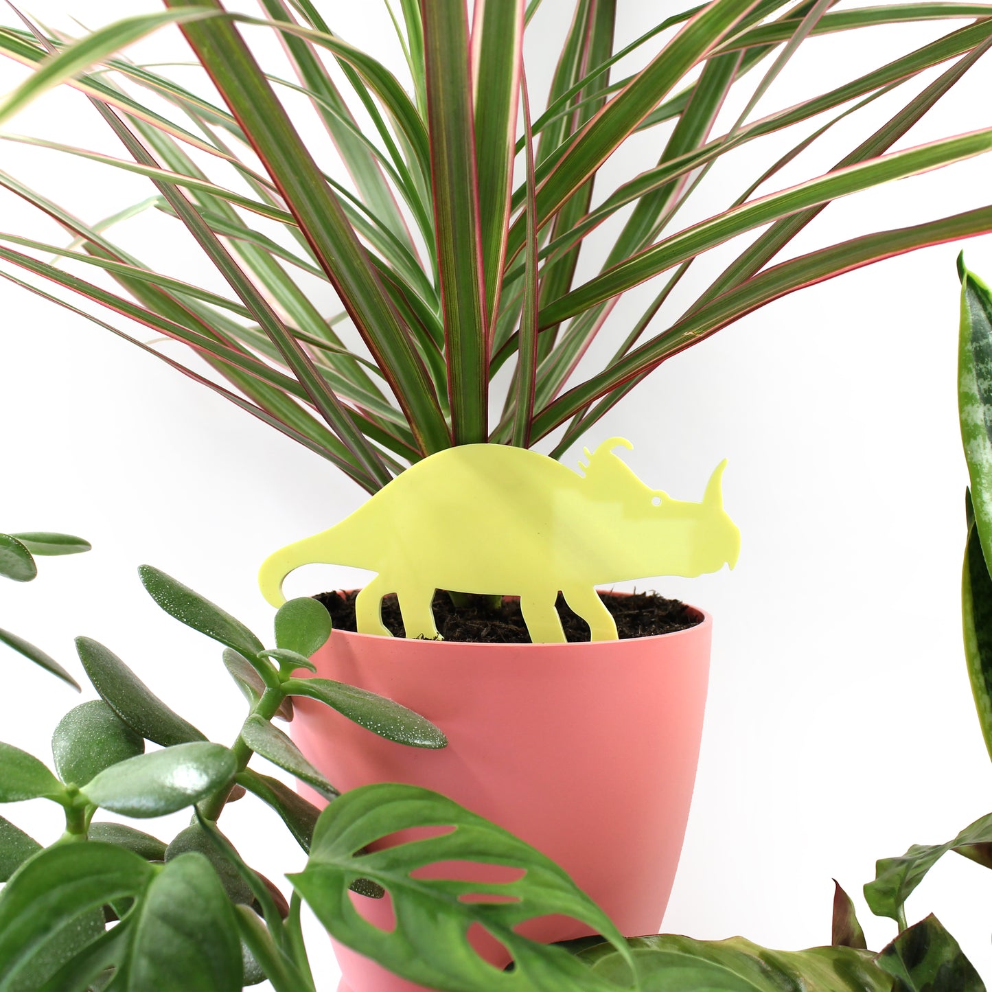 Yellow centrosaurus plant decoration