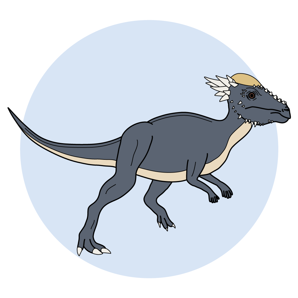 Pachycephalosauria