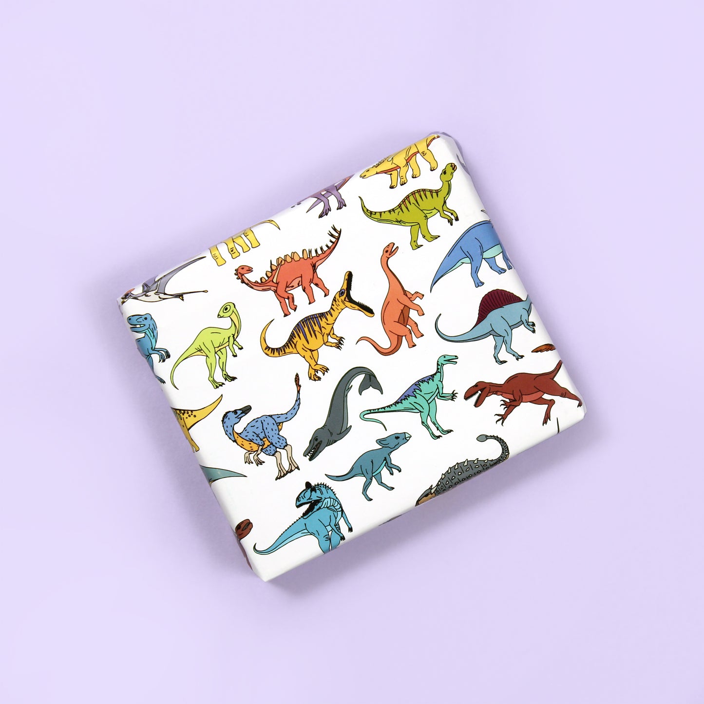a small box wrapped in scattered Dinosaur Wrapping Paper