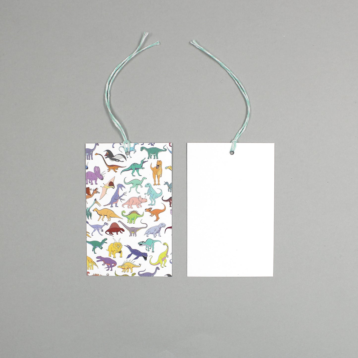 flat lay showing the front and back of the scattered dinosaur gift tag on a grey background