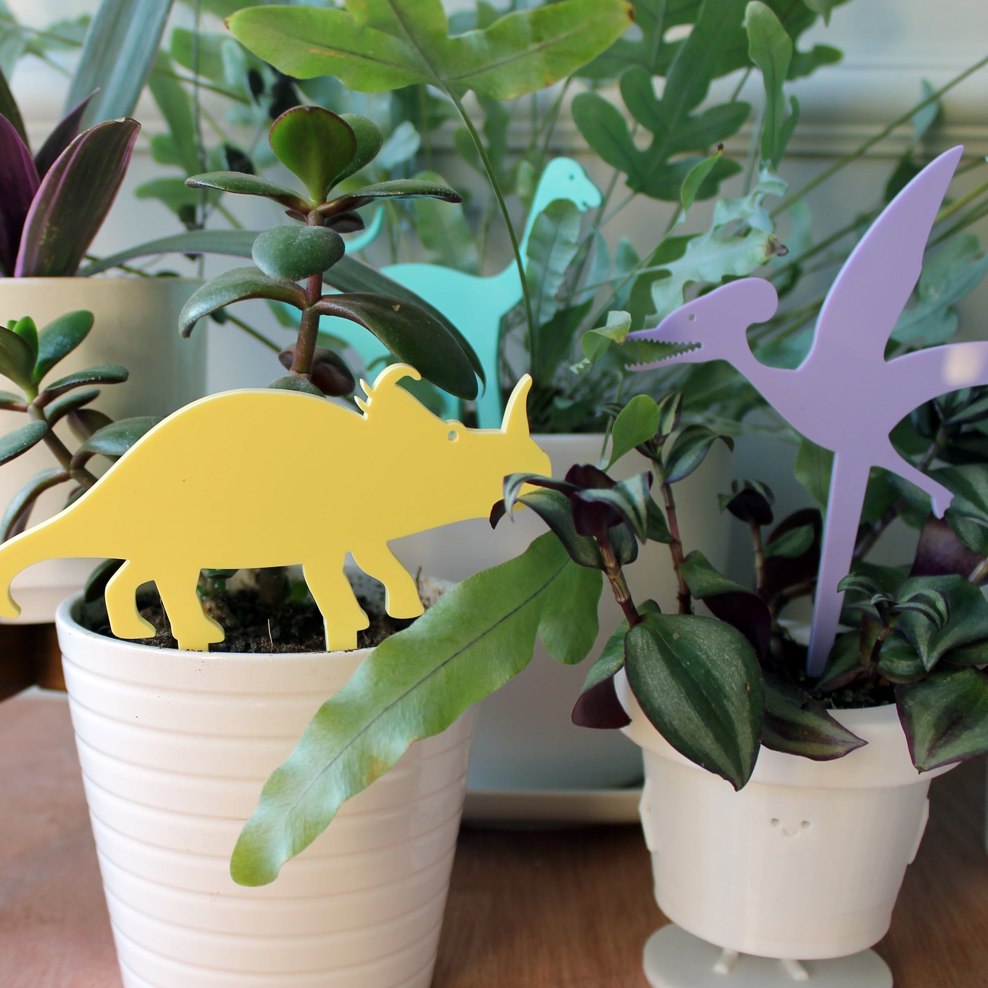 dinosaur plant decorations in plant pots