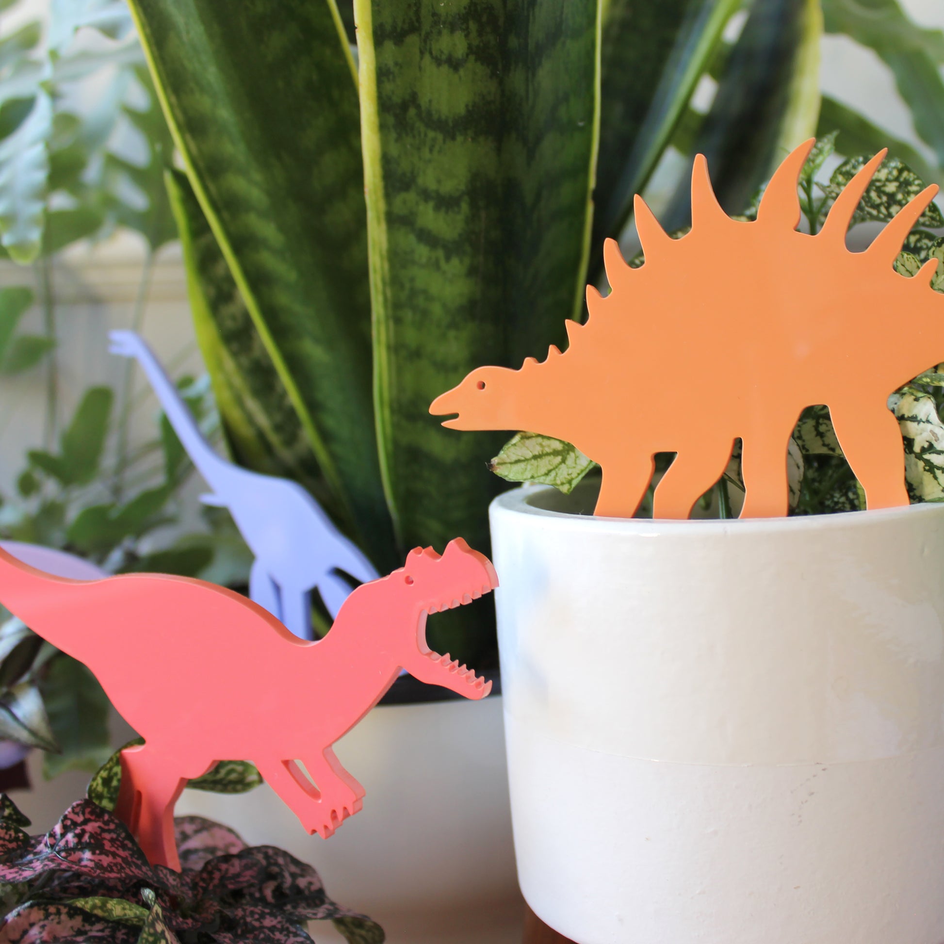 dinosaur plant decoration in plant pot