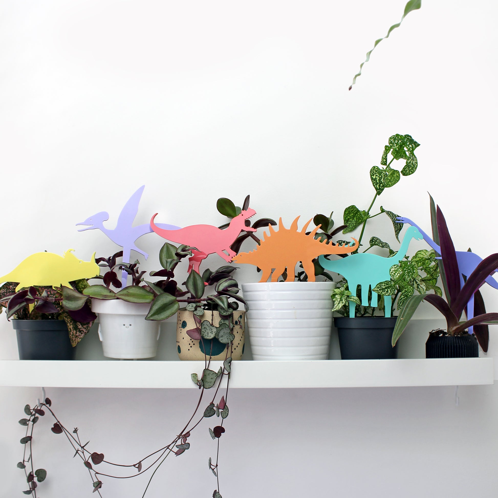 dinosaur plant decoration in plant pots