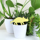 Yellow centrosaurus plant decoration in plant pot