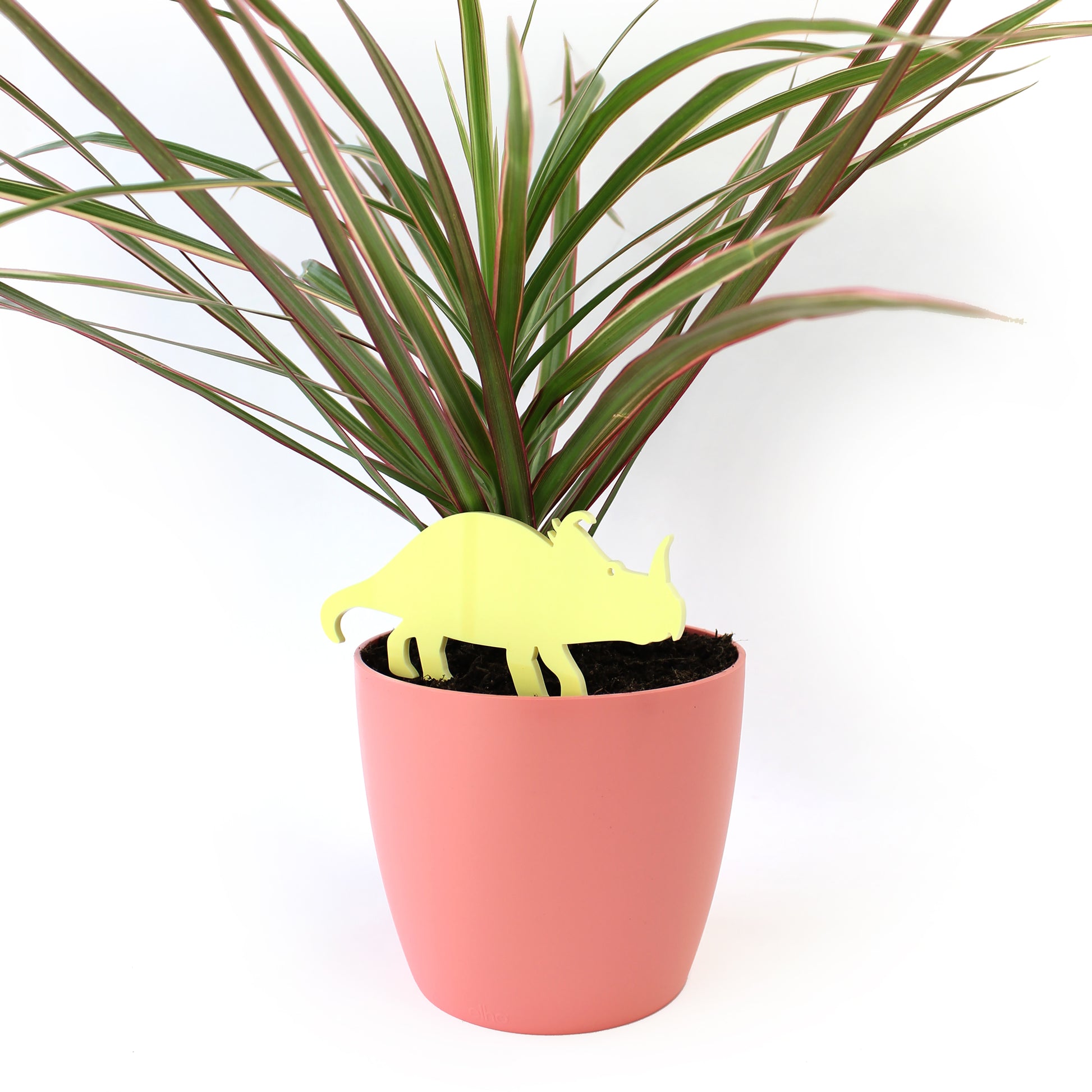Yellow centrosaurus plant decoration