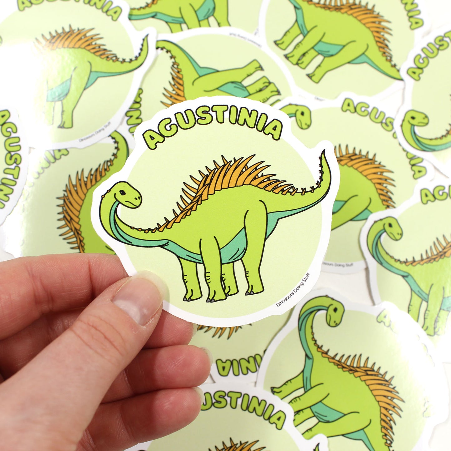 Agustinia dinosaur sticker held by a hand with scattered stickers behind it